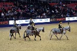 Quadrille - 00905